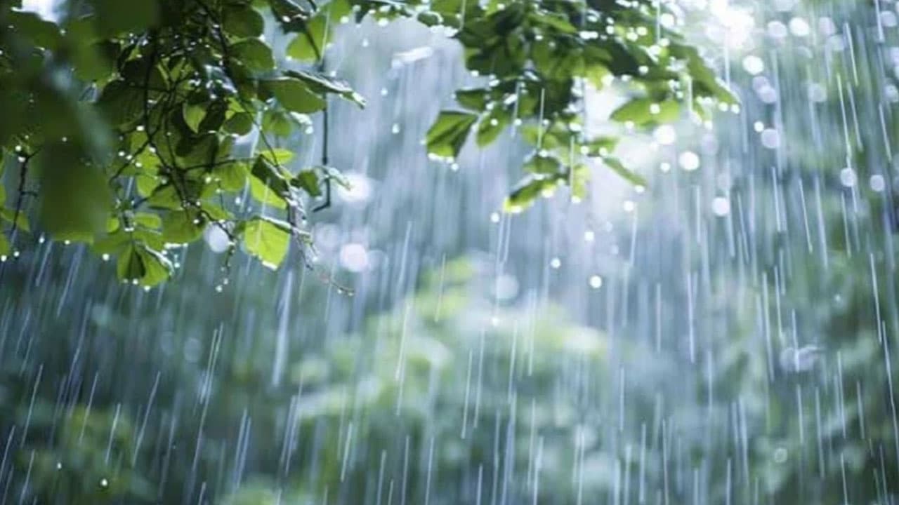 চট্টগ্রাম ছাড়া কোথাও বৃষ্টির শঙ্কা নেই